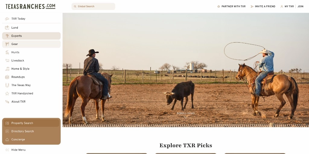 Cowboys roping cattle – Texas Ranches culture and lifestyle