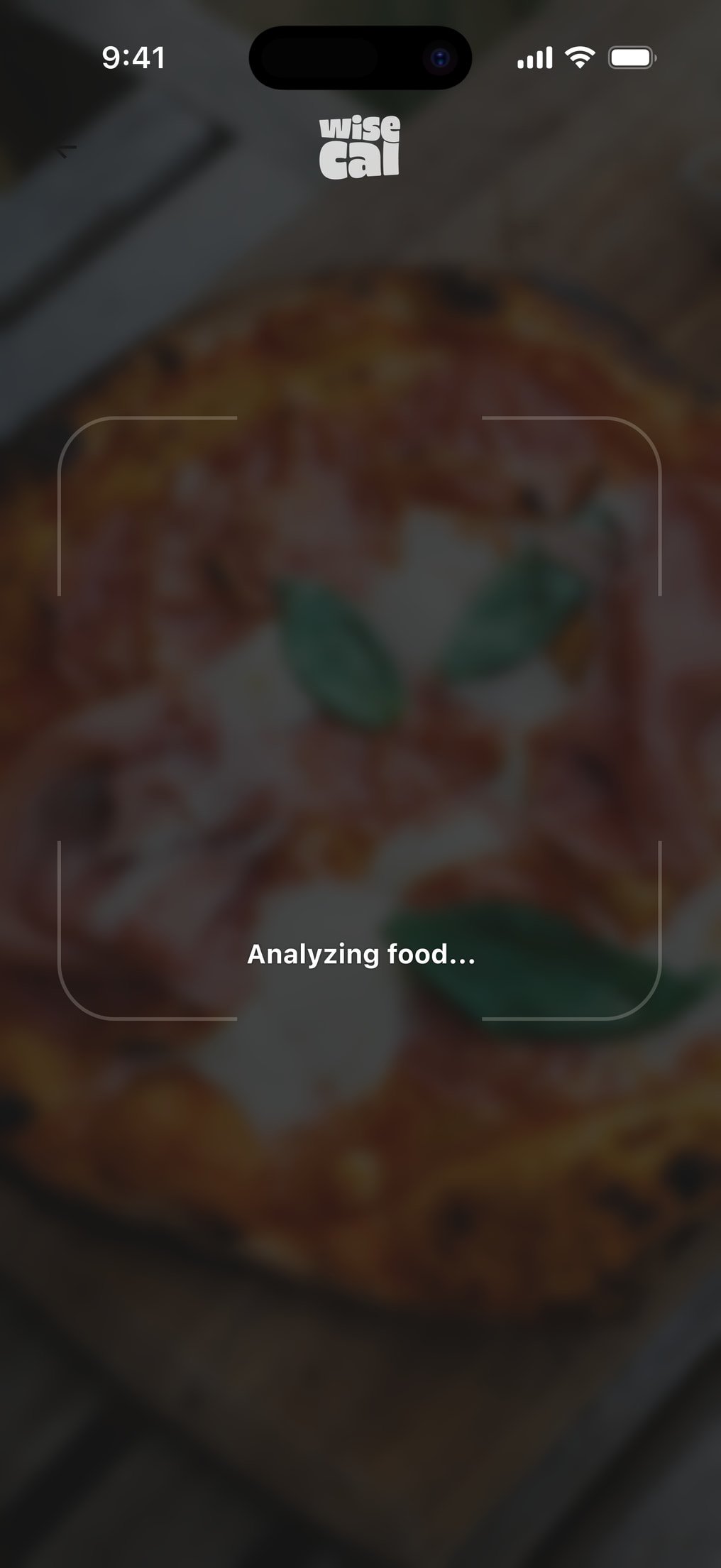 WiseCal camera: analyzing food overlay on a pizza scan